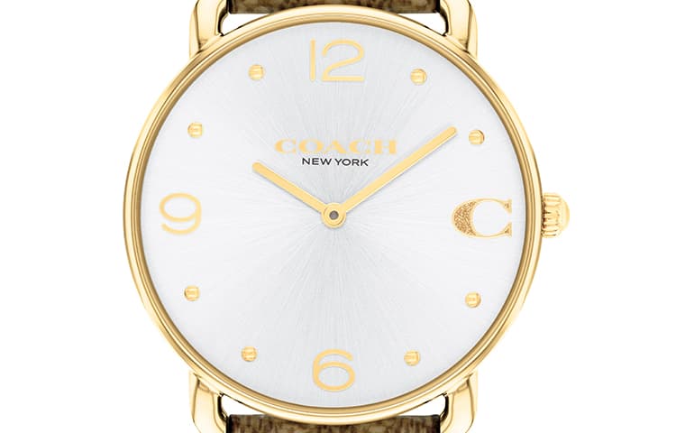 Механические часы COACHELLIOT 36mm 14504205 - изображение 4