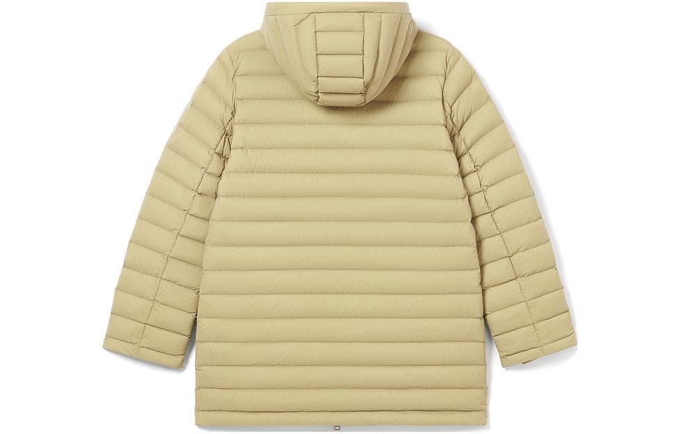 LACOSTE - изображение 2