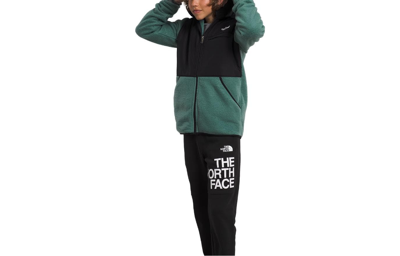 THE NORTH FACE - изображение 2