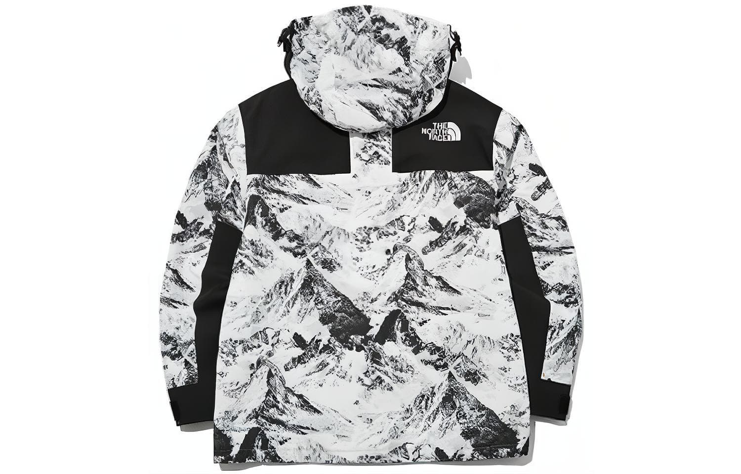 Демисезонная куртка The North Face Gore-Tex 1990 Series - изображение 2