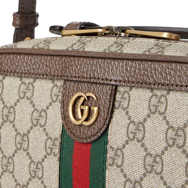 Сумка Gucci Ophidia Beige Ebony - изображение 9
