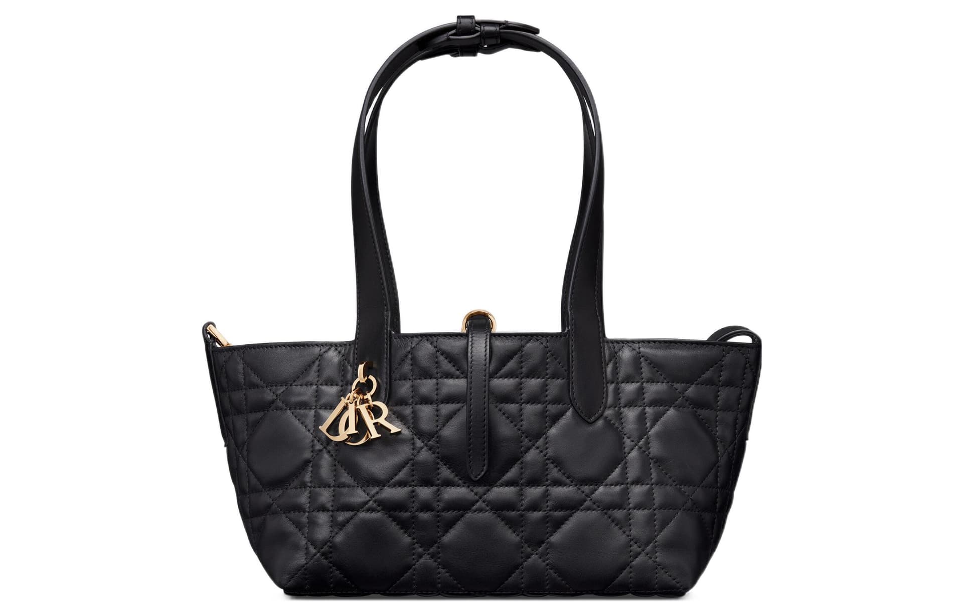 Сумка DIOR Toujours - изображение 6