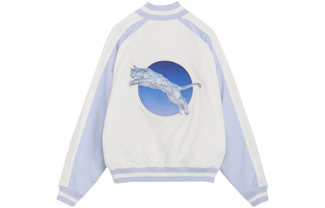 Куртка PUMA FW23 Metallic Logo Raglan Jacket White - изображение 2