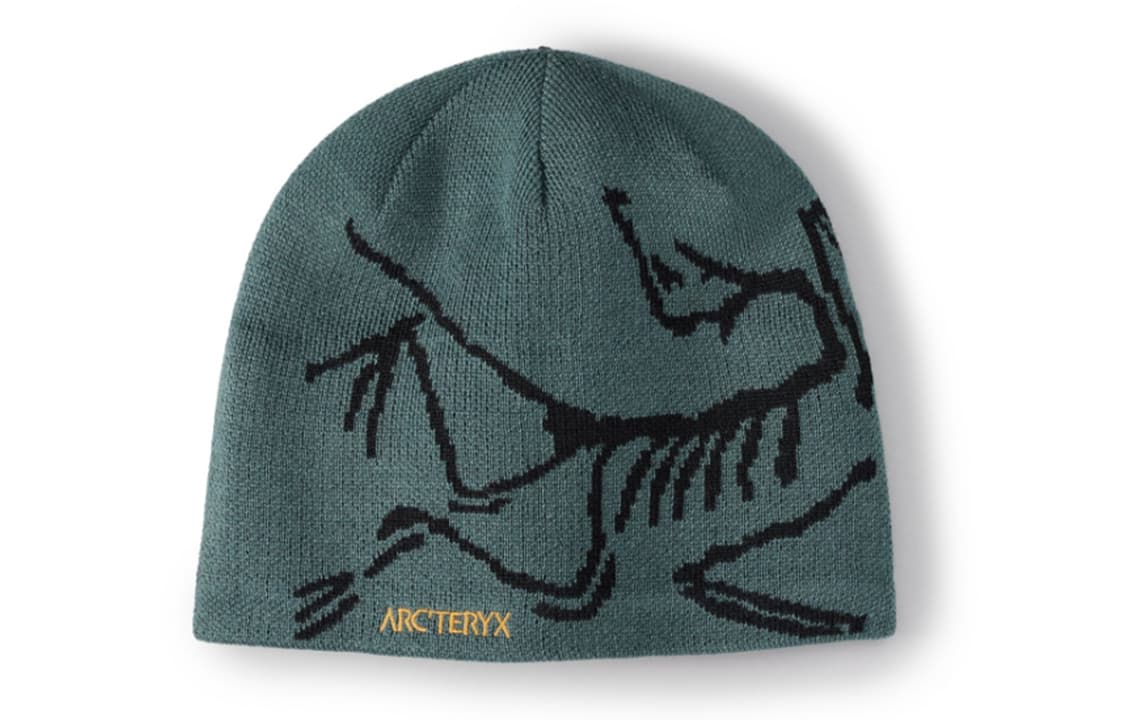 Шапка Arcteryx Logo - изображение 1