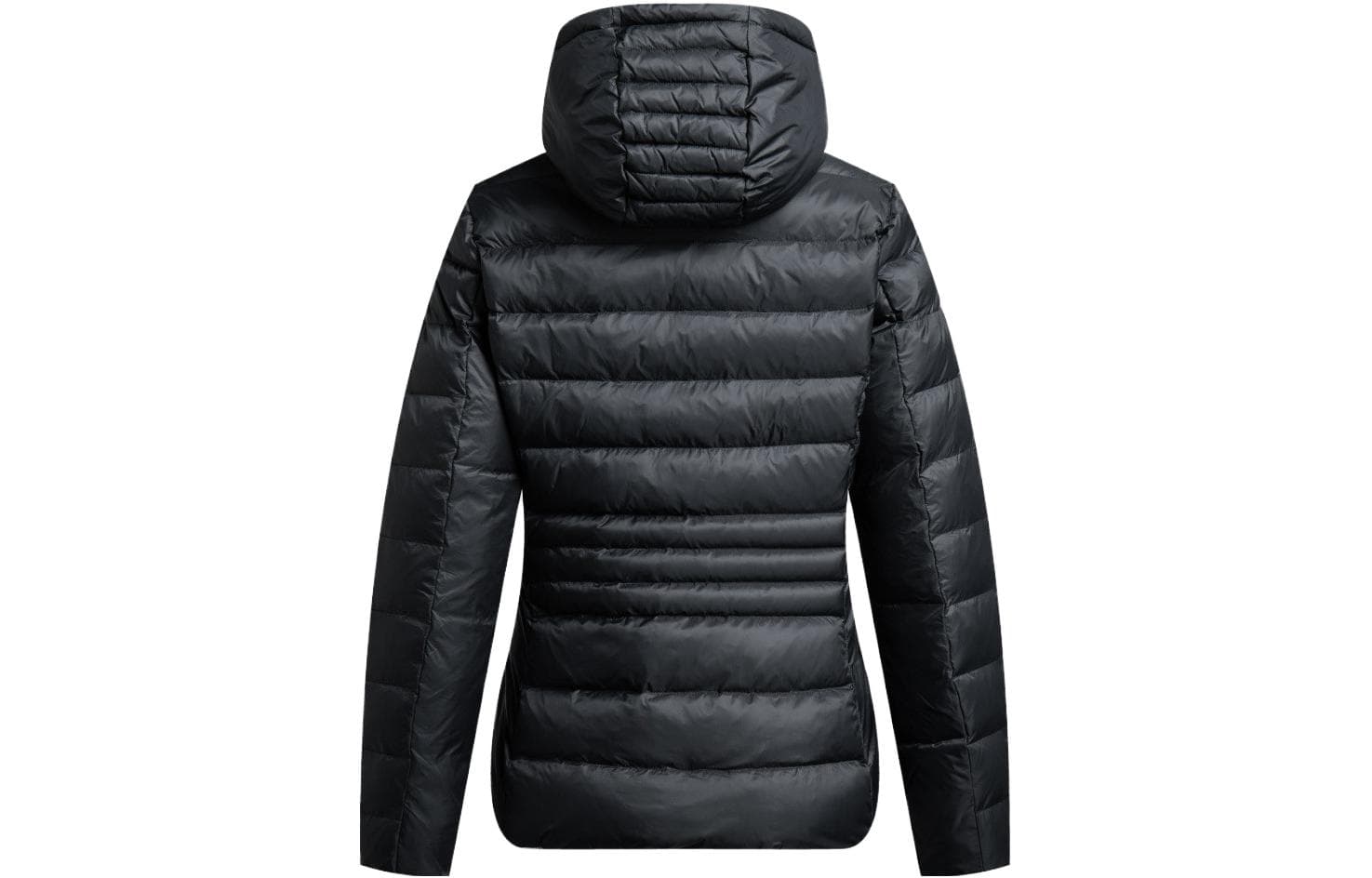 EMPORIO ARMANI EA7 FW23 Logo - изображение 2