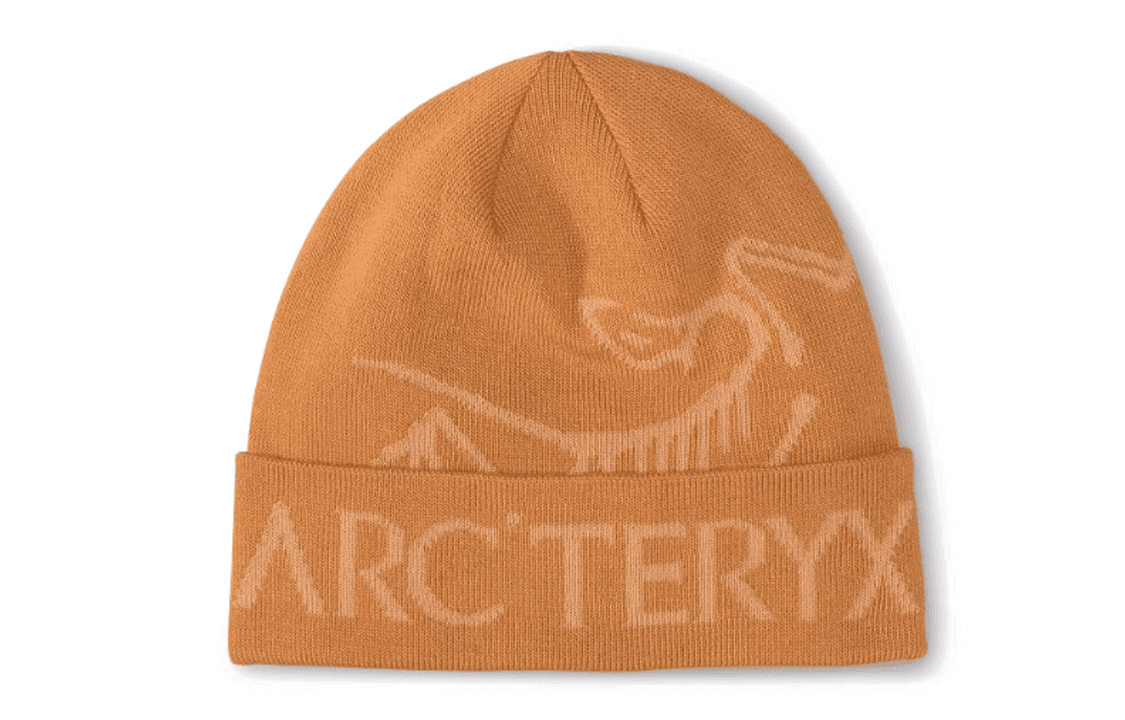 Шапка Arcteryx - изображение 1