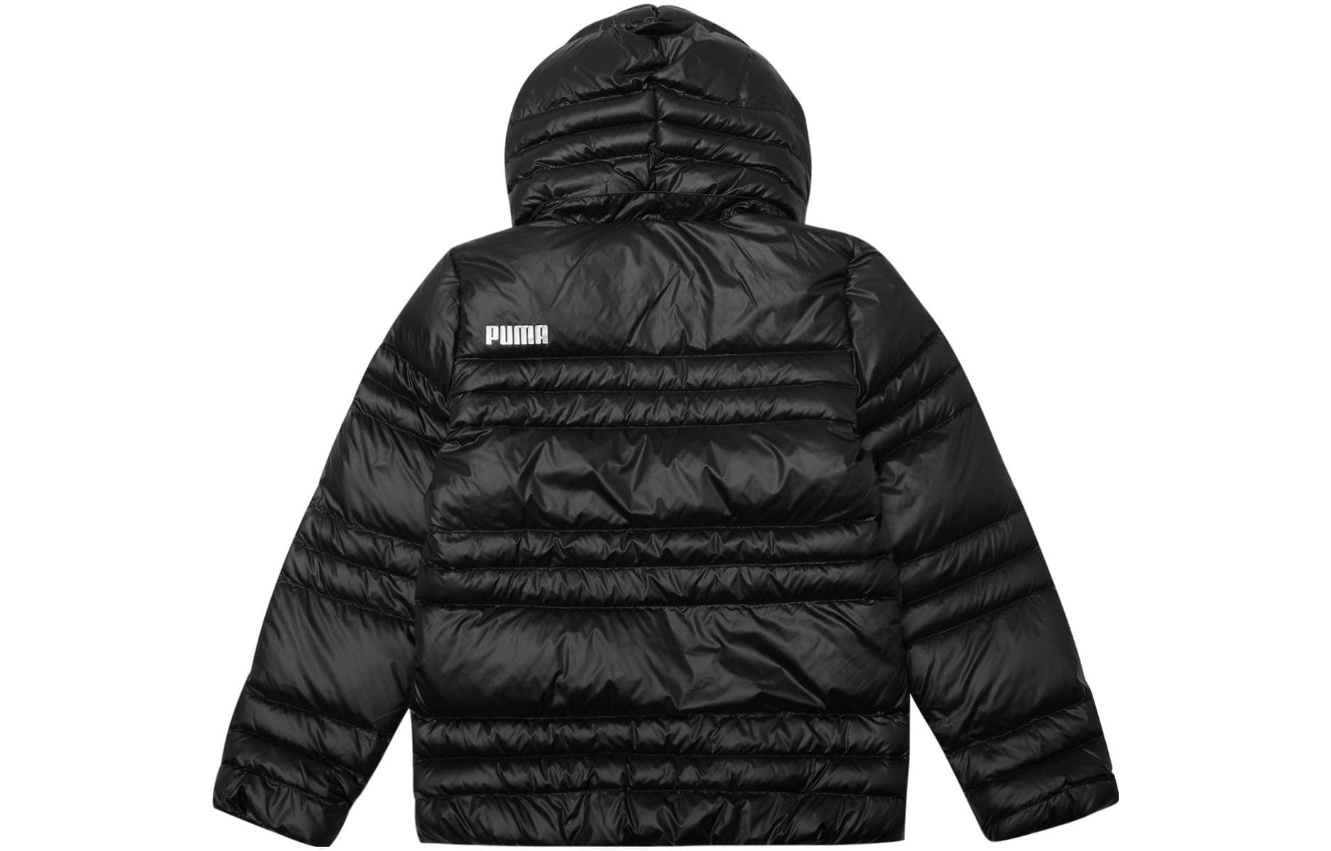 PUMA - изображение 2