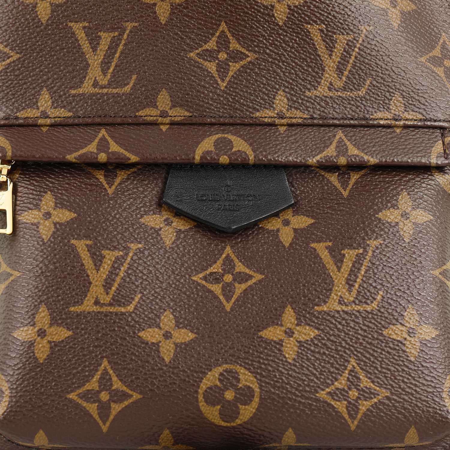 Рюкзак Louis Vuitton Palm Springs Backpack Small Brown - изображение 9