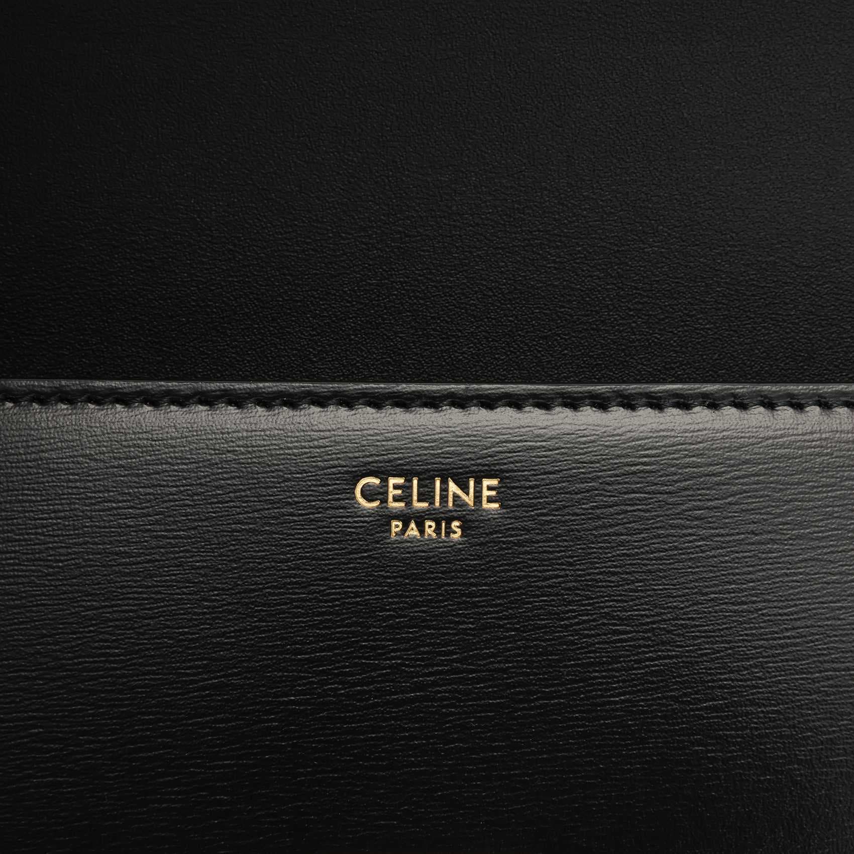 Мини-сумка CELINE Triomphe - изображение 6