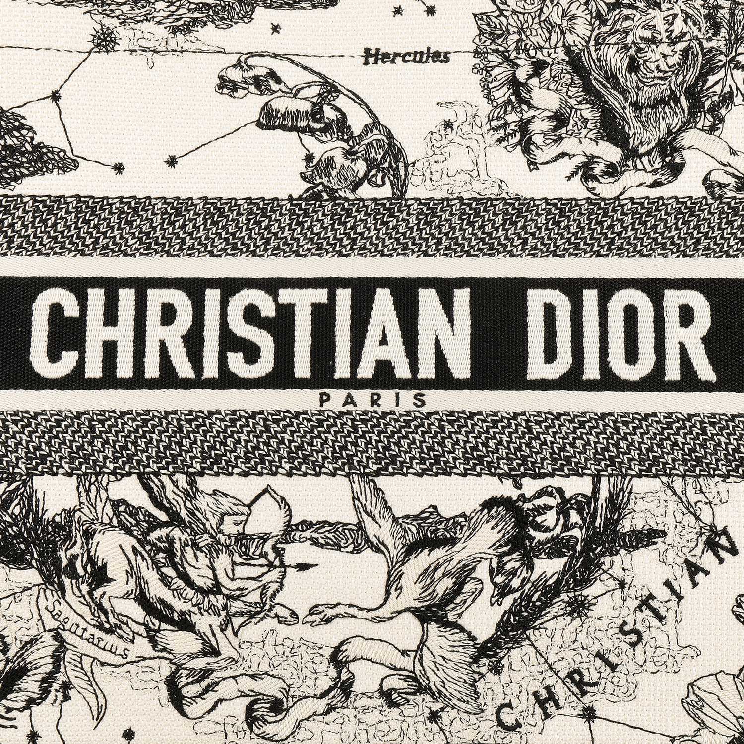 Сумка Dior Book Tote Zodiac Embroidery - изображение 7