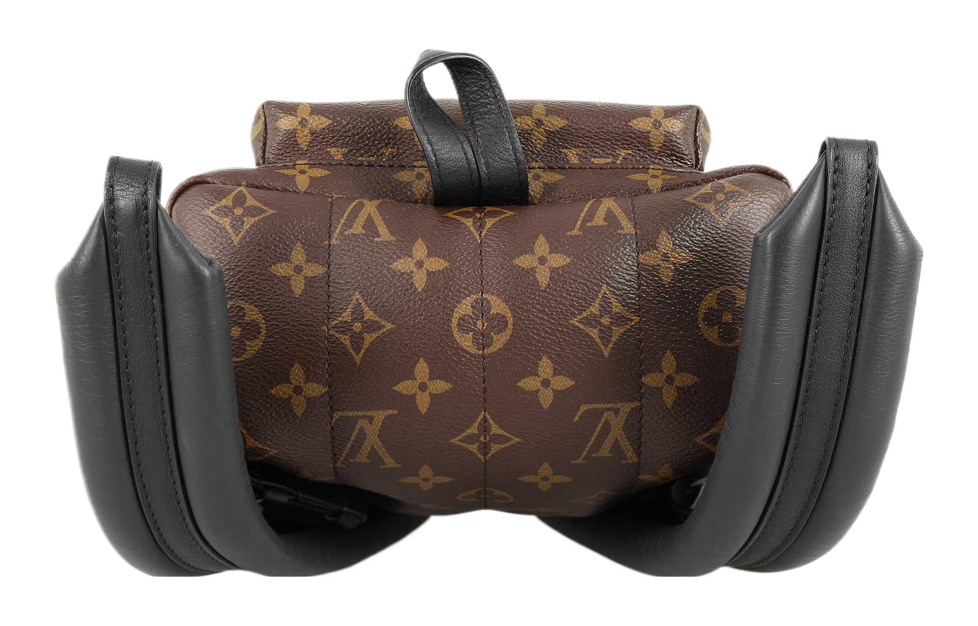 Рюкзак Louis Vuitton Palm Springs Backpack Small Brown - изображение 6