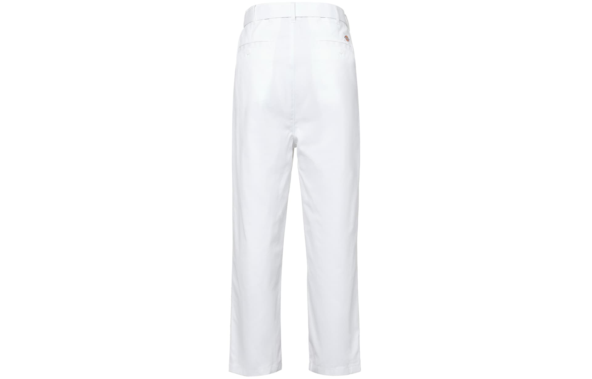 Dickies SS22 - изображение 2