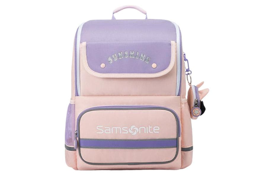 Рюкзак SAMSONITE Logo - изображение 1