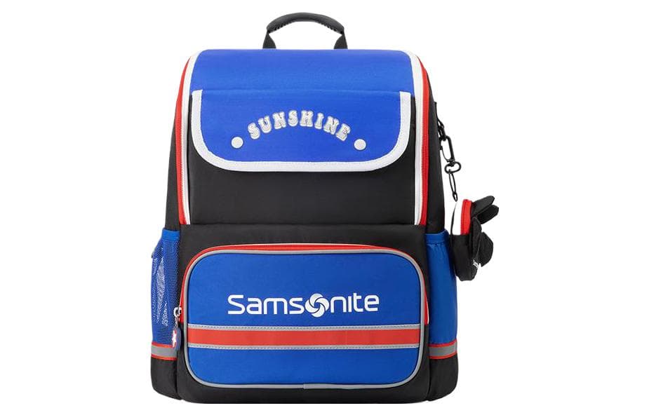 Рюкзак SAMSONITE Logo - изображение 1