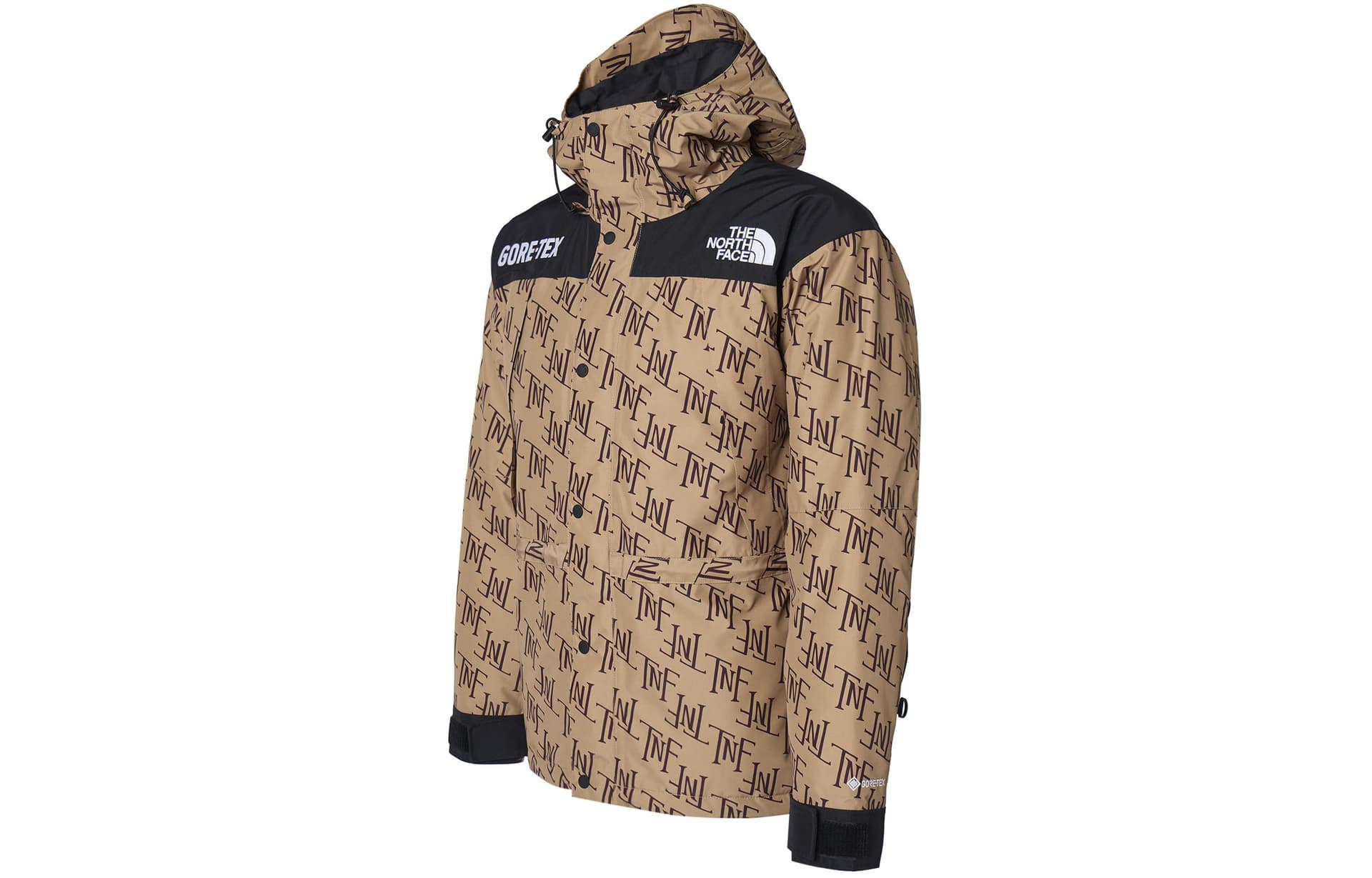 Зимняя куртка The North Face GORETEX600 Almond - изображение 3