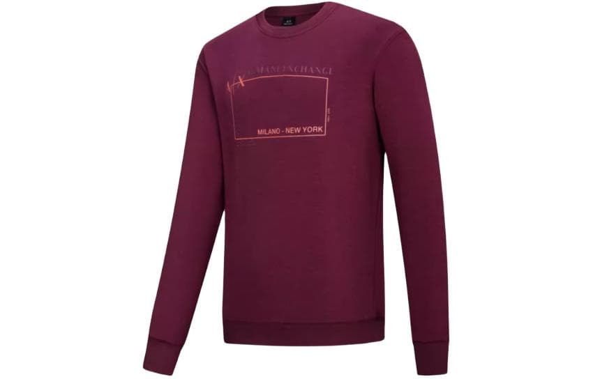 Худи ARMANI EXCHANGE FW22 Logo - изображение 3