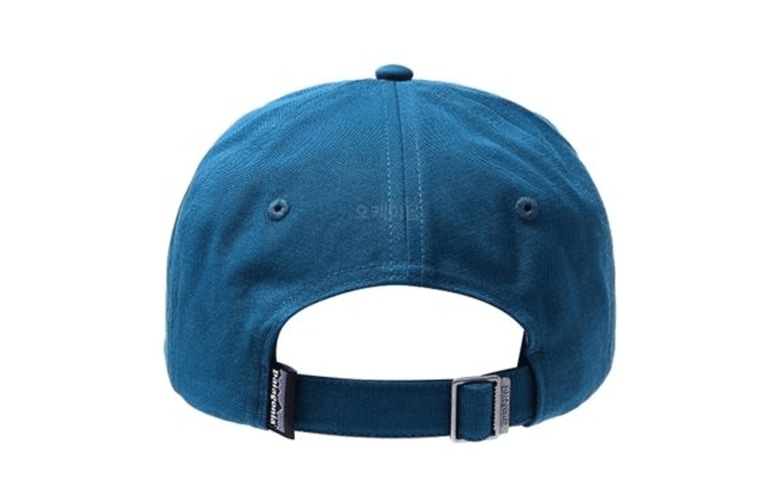 Кепка patagonia Logo - изображение 2