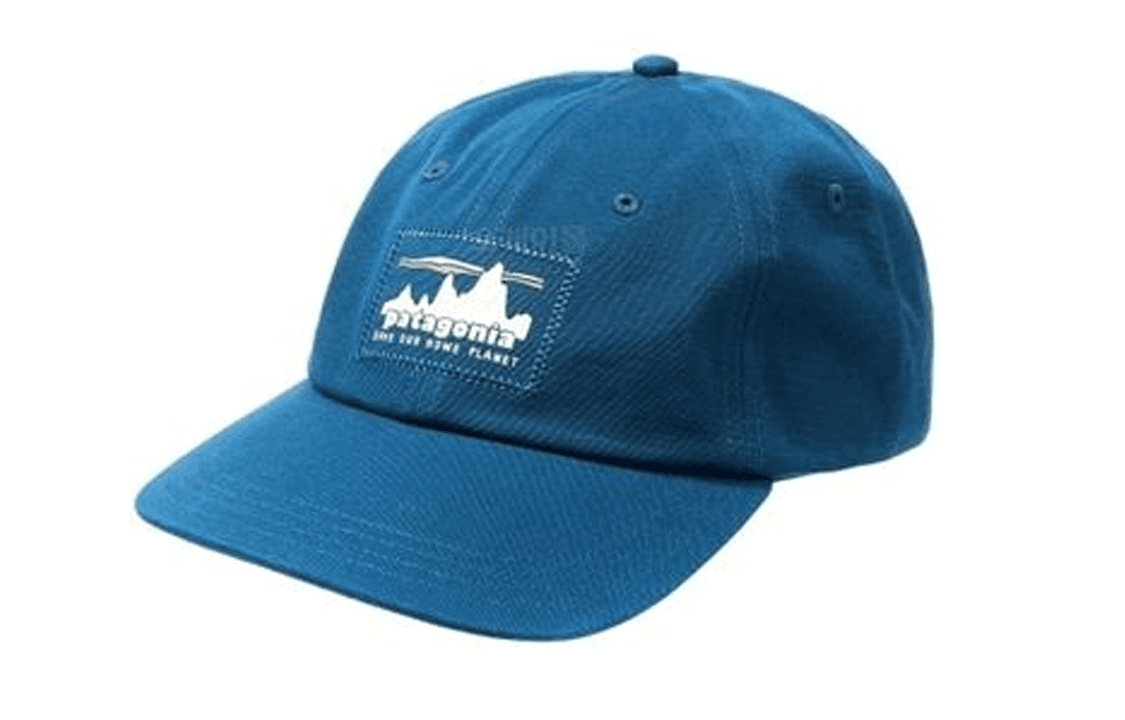 Кепка patagonia Logo - изображение 1