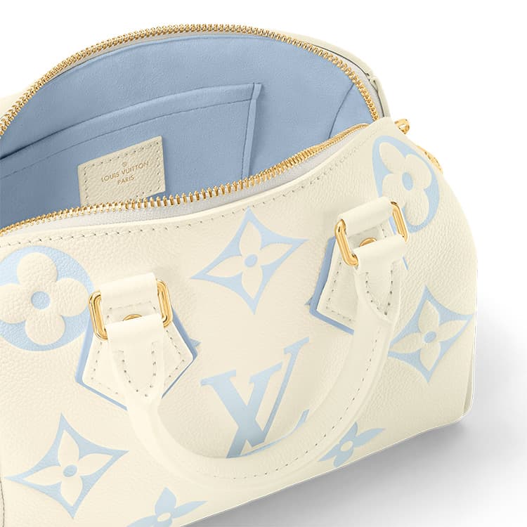 Сумка LOUIS VUITTON Speedy 20 - изображение 5