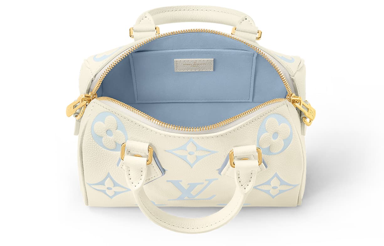 Сумка LOUIS VUITTON Speedy 20 - изображение 4