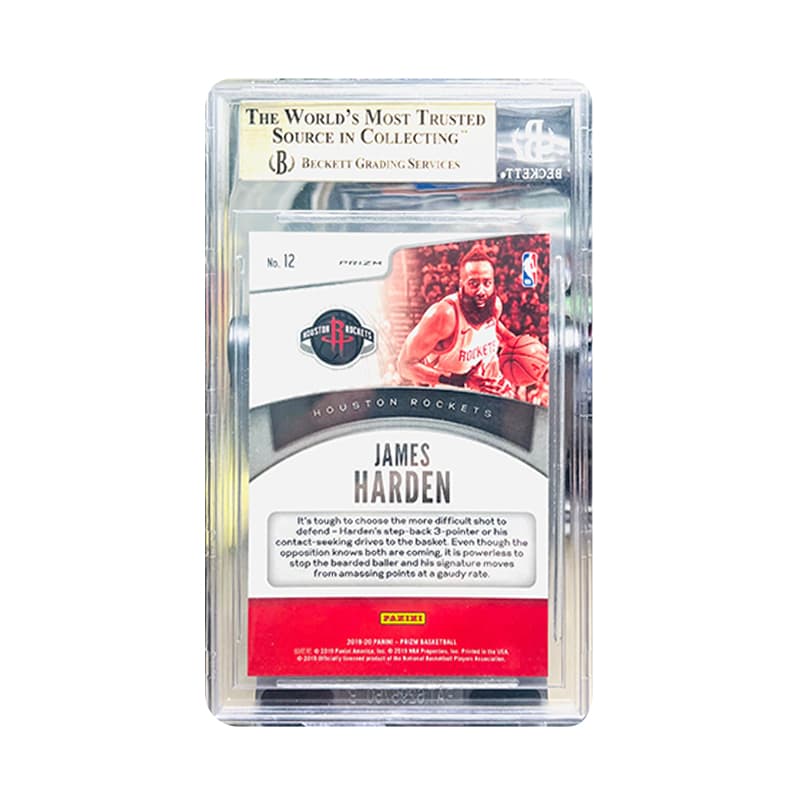 PANINI - изображение 2