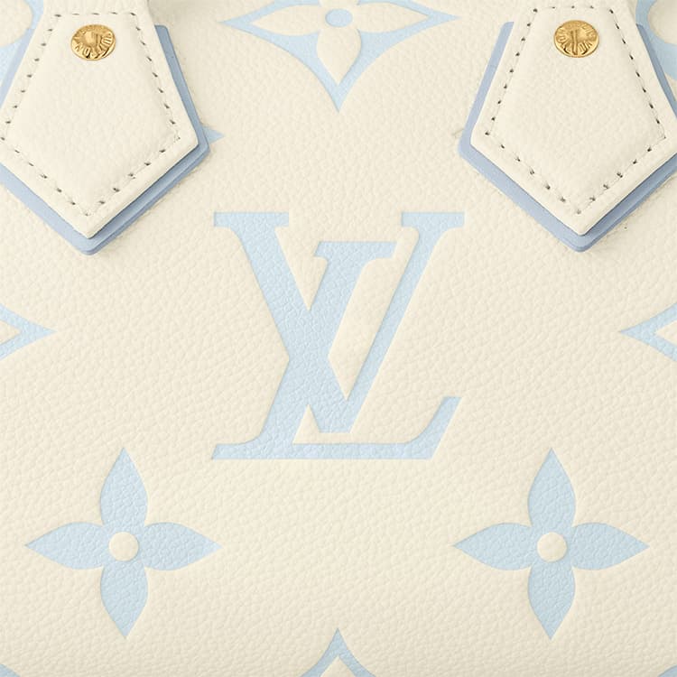 Сумка LOUIS VUITTON Speedy 20 - изображение 6