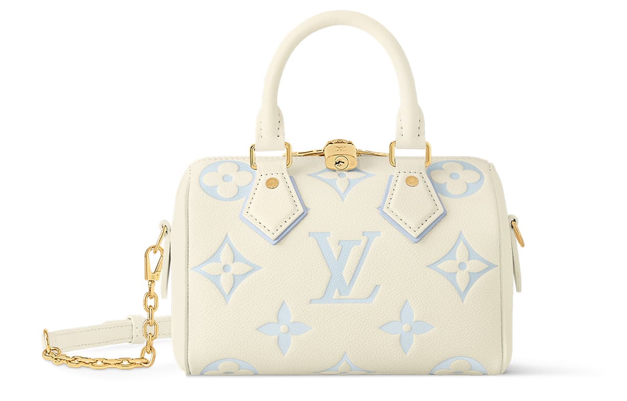 Сумка LOUIS VUITTON Speedy 20 - изображение 1