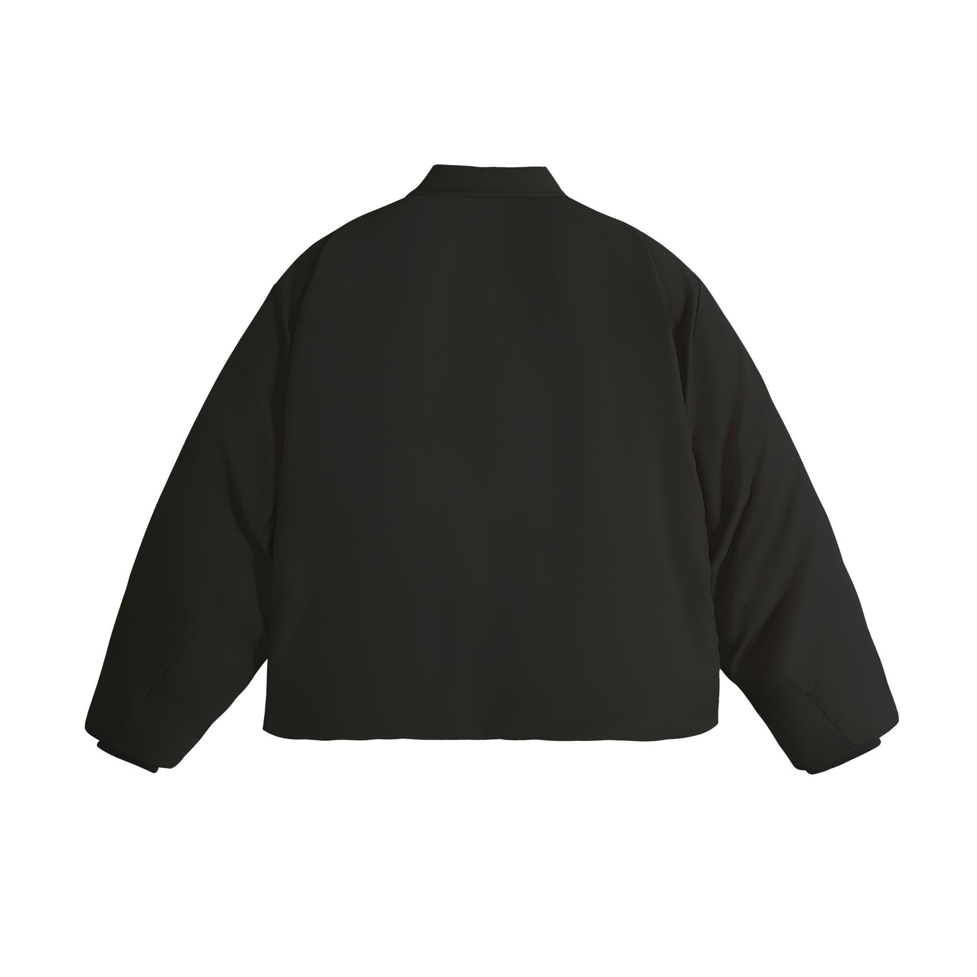 Зимняя куртка пуховик ANYWEAR 90 - изображение 2