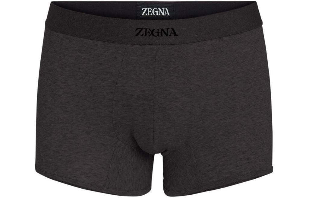 Трусы Zegna Logo 1 - изображение 1