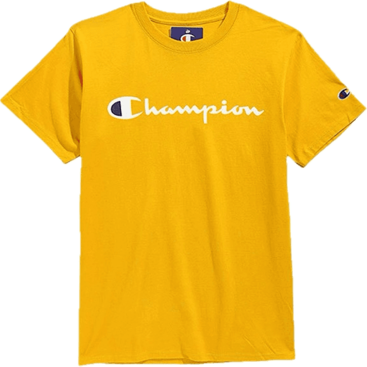 Футболка Champion T 2 - изображение 2