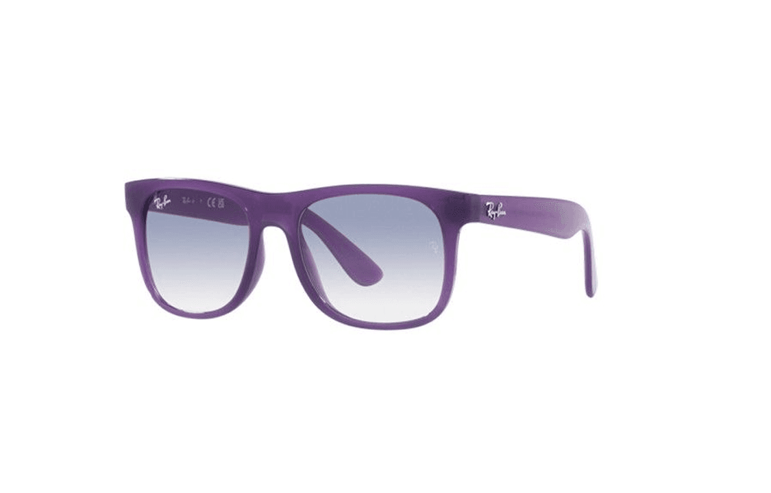 Солнцезащитные очки RayBan Logo - изображение 1