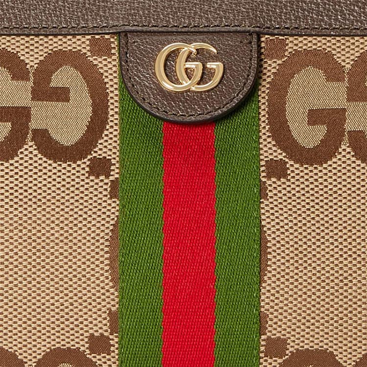 Сумка через плечо Gucci Ophidia Beige Brown - изображение 8