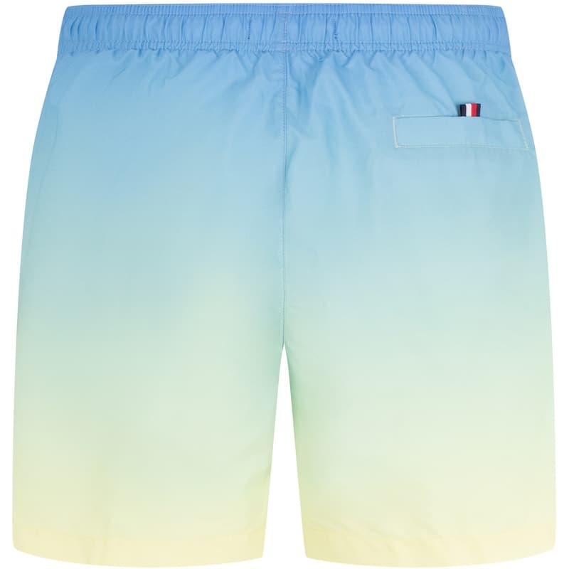 Шорты Tommy Hilfiger Gradient Shorts - изображение 2
