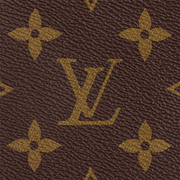 Сумка Louis Vuitton Speedy 20 - изображение 8