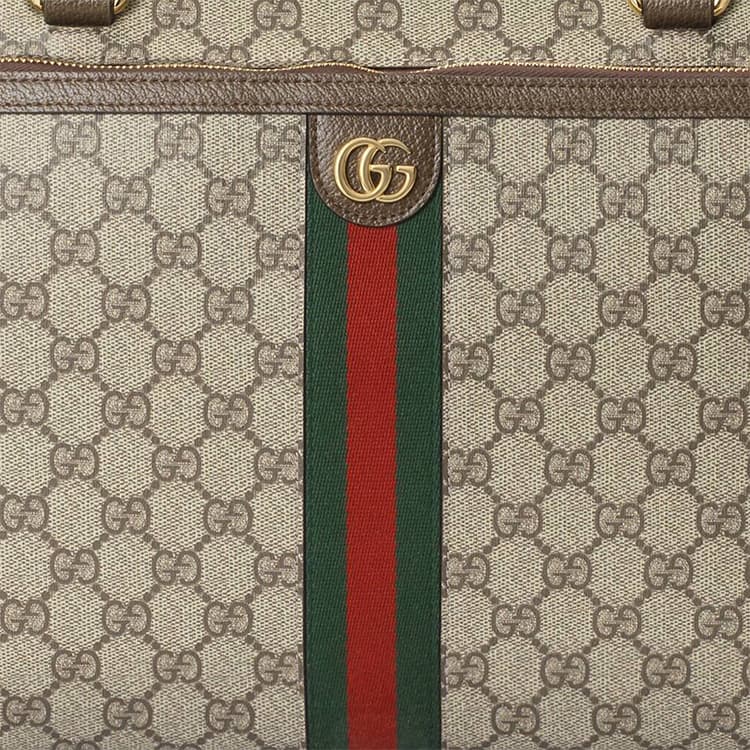 Сумка Gucci Pet Carrier Bag - изображение 9