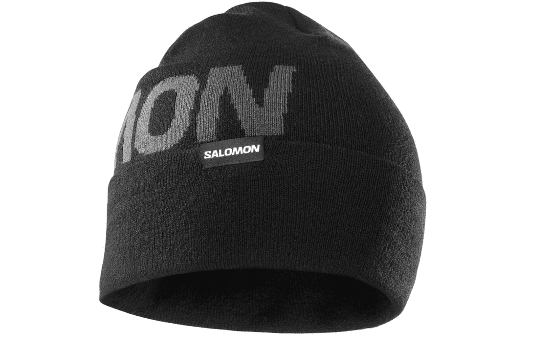 Шапка SALOMON Logo - изображение 1