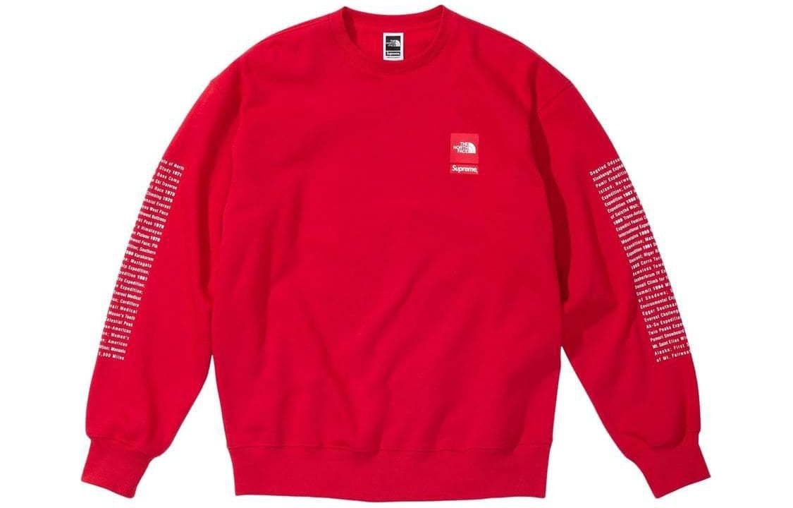 Худи Supreme x THE NORTH FACE SS24 WEEK3 CREWNECK logo - изображение 2