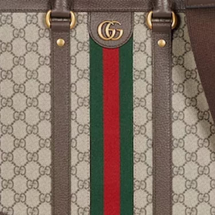 Сумка Gucci Ophidia Tote Bag - изображение 9