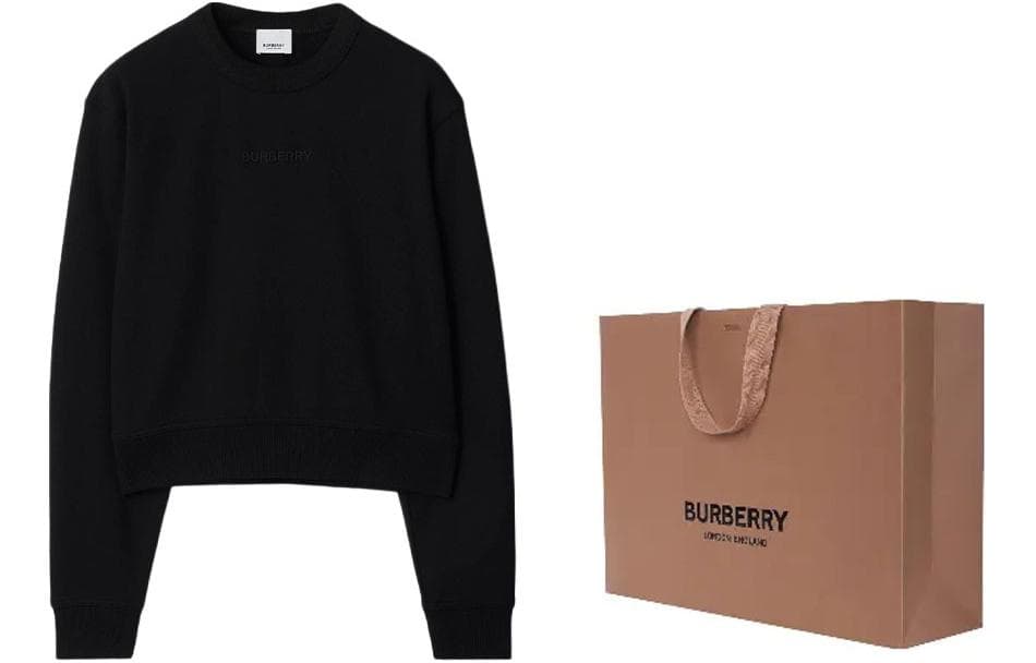 Худи Burberry Logo - изображение 3