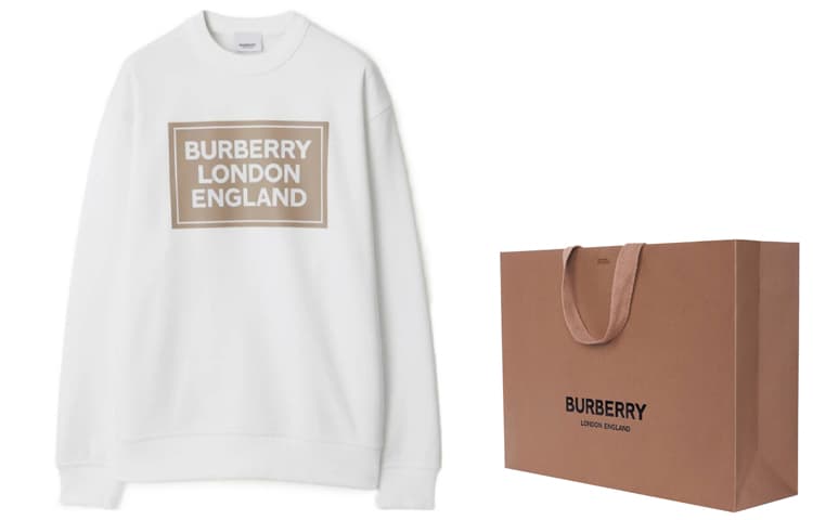 Худи Burberry SS24 Logo - изображение 3