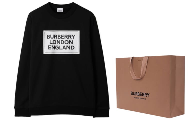 Худи Burberry SS24 Logo - изображение 3