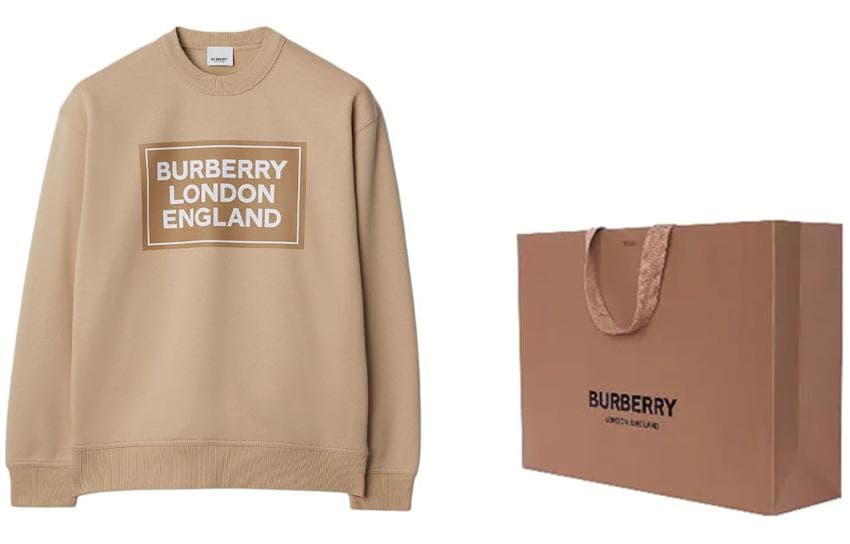 Худи Burberry Logo - изображение 3