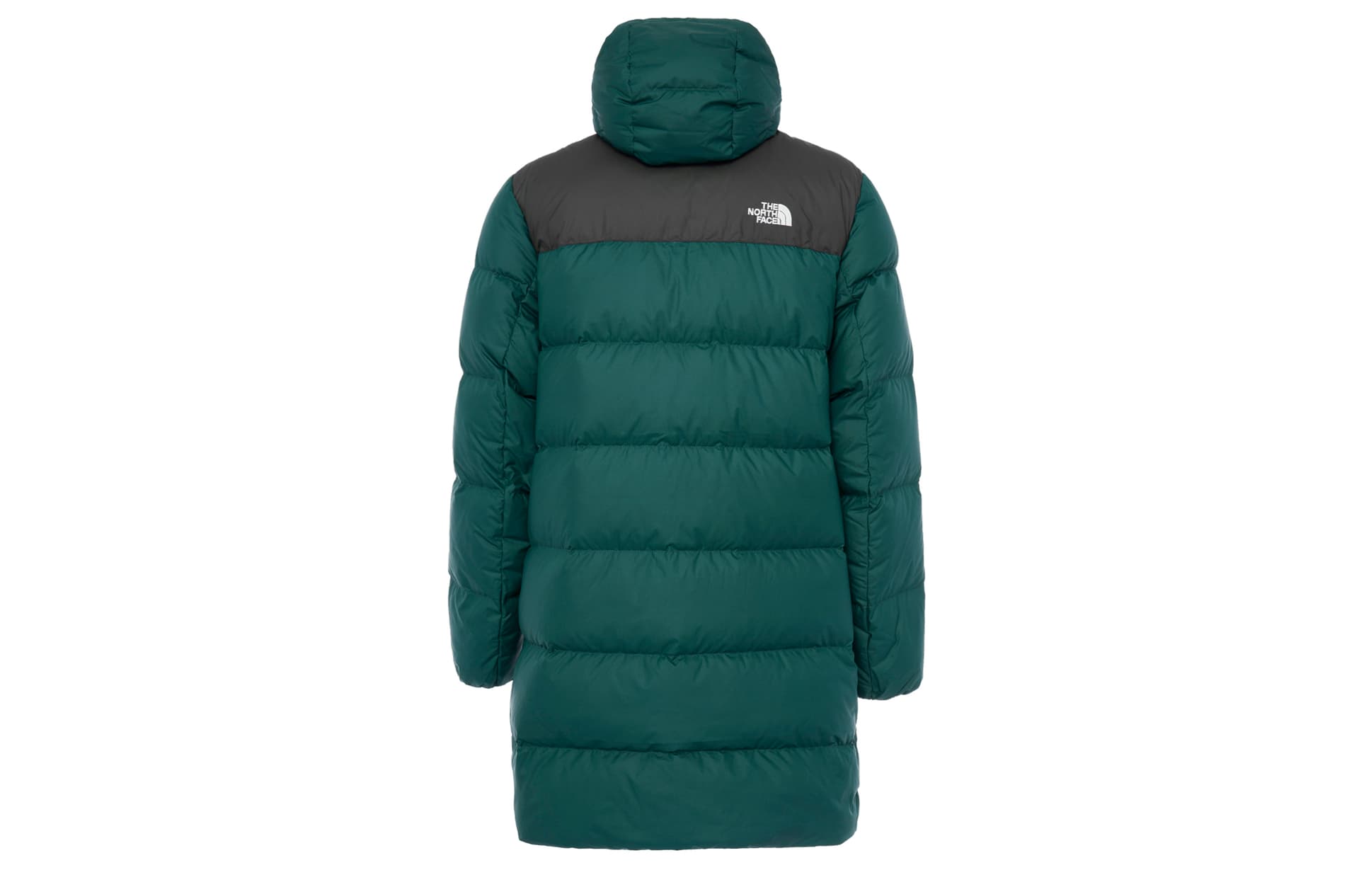Зимняя куртка THE NORTH FACE Logo - изображение 2