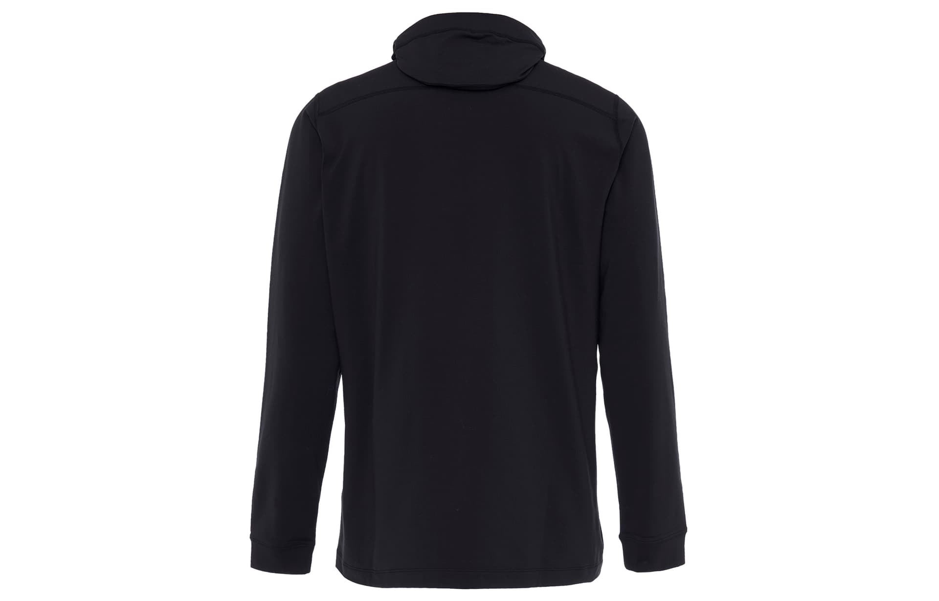 Худи Arcteryx RHO LT Logo - изображение 2