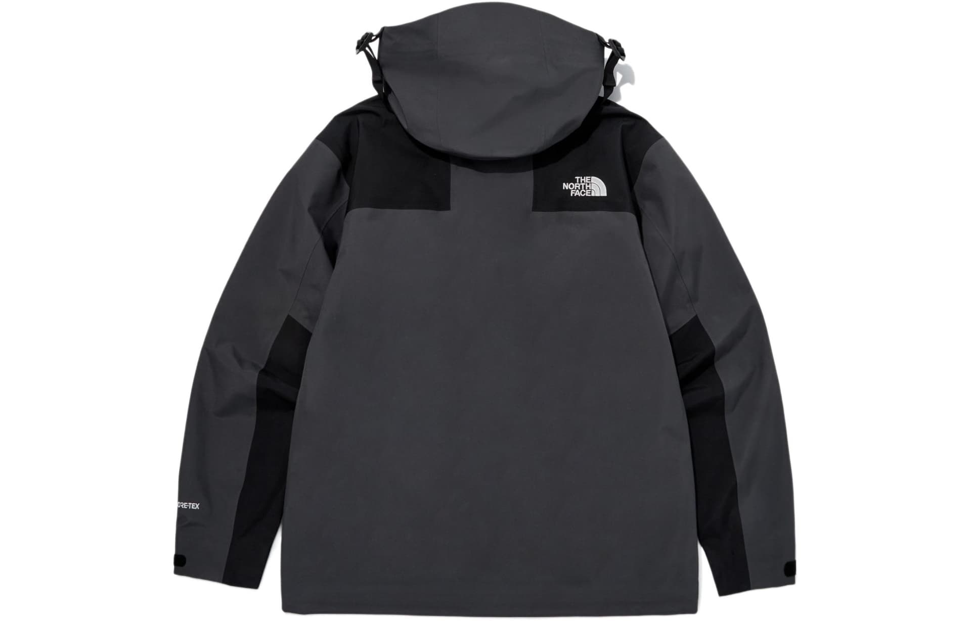Демисезонная куртка The North Face GTX Gore-tex L3 - изображение 2