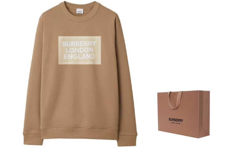 Худи Burberry SS24 Logo - изображение 3