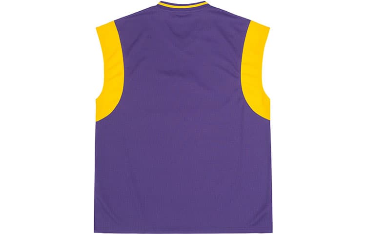 Баскетбольная майка Mitchell Ness LogoV - изображение 2