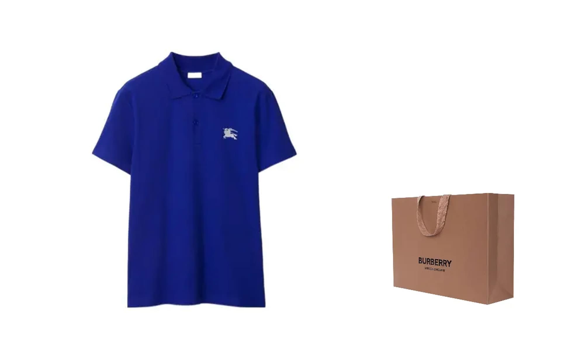 Поло Burberry SS24 LogoPolo - изображение 3