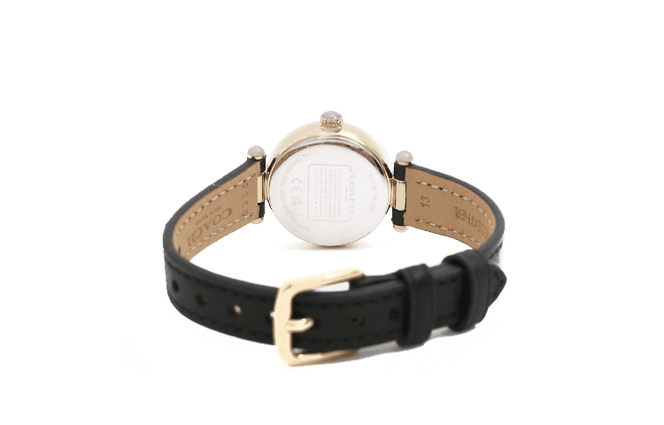 Механические часы COACHCARY 14504014 - изображение 3