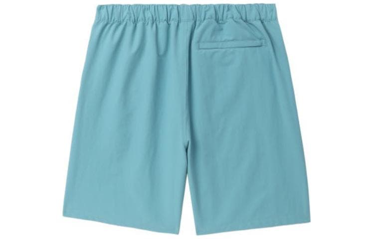 Шорты Carhartt WIP SS24 - изображение 2
